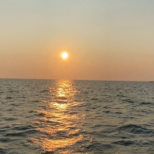 草逼动🔞🔞流
